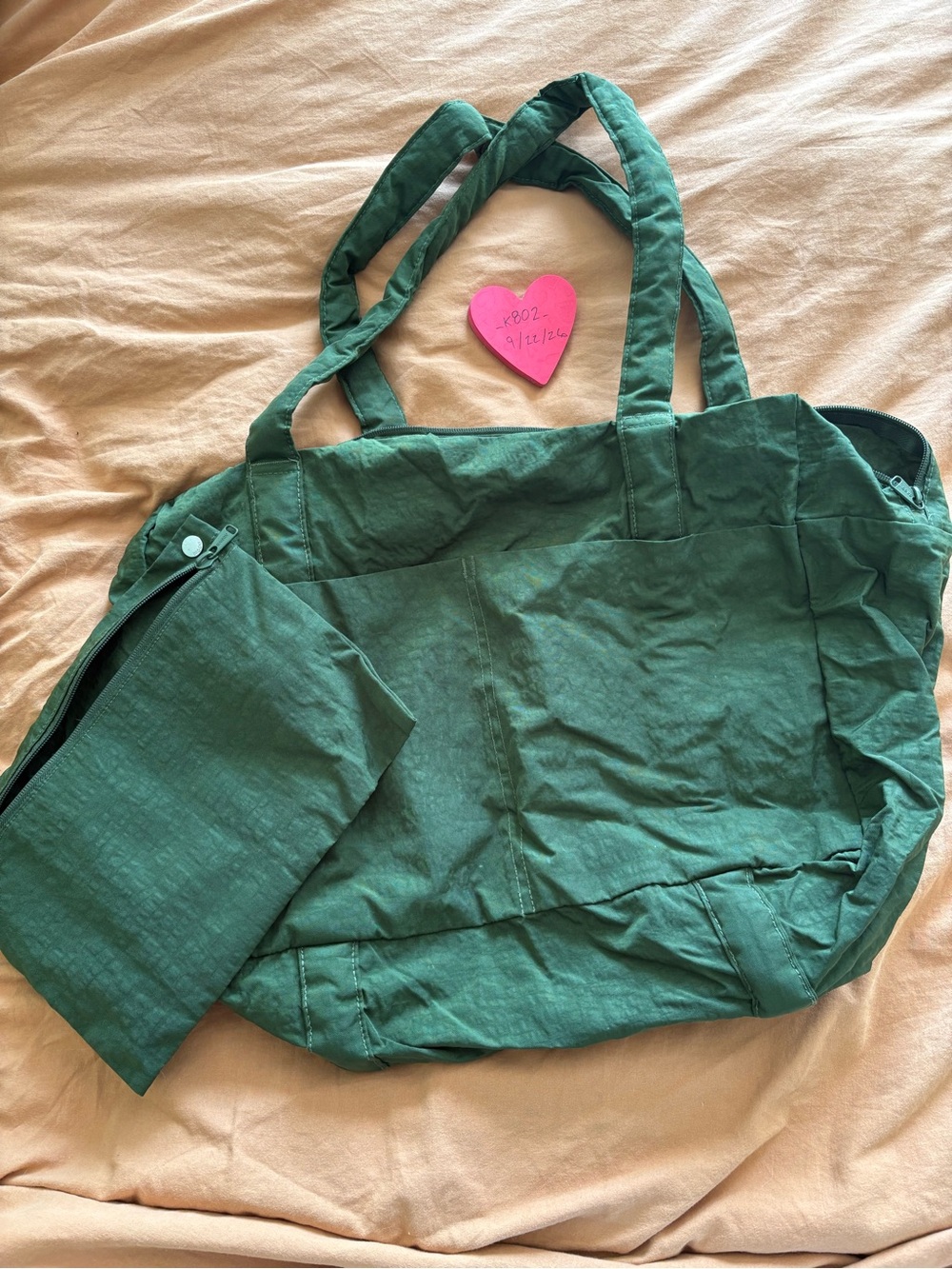 Used Bay Laurel Baggu Cloud Carry On